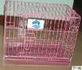 dogs cage