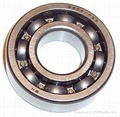 6204 1rs deep groove ball bearing