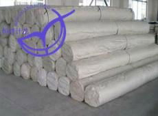 Non-woven Geotextile  2