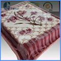 raschel printed blanket 