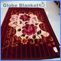 hot sale raschel printed blanket