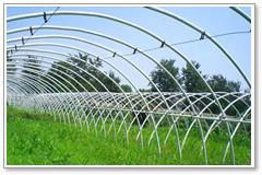 the greenhouse galvanized wire