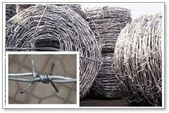 the barbed wire