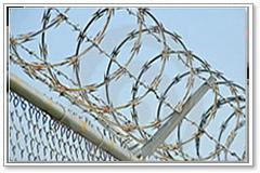 the barbed wire 2