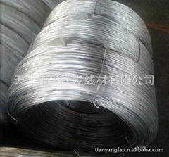 Argentina galvanized wire