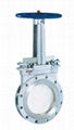 Stainless Steel Slurry Gate Valve 1