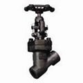 Y Type globe valves  1