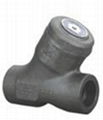 API Standard Y Type Check Valve