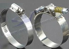 Hose clamp, liner clamp, T-bolt clamp,