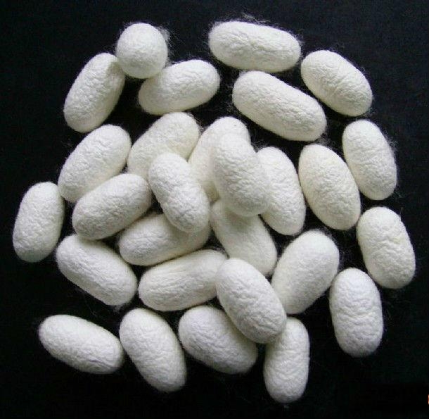 silk powder PSSP purestar (China Trading Company) Personal Care