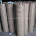 galvanized welded wire mesh 1