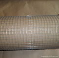 galvanized welded wire mesh 5