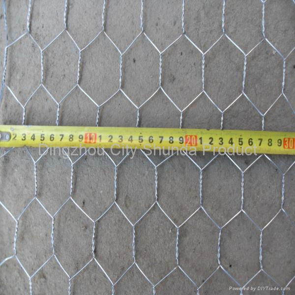 galvanized hexagonal wire mesh with triple twist 3