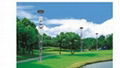 High-performance LED solar street lights from Chinese manufacturer 3