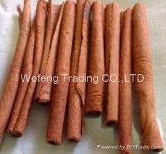 Cigarette cassia