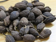 Black Cardamom