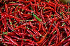 Red chilli