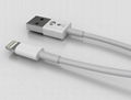 iPhone 5 cables 3