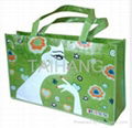 Customized Design Promotional Bag 1