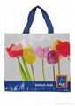 Customized Design Promotional Bag 5