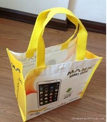 2014 shopping bag 