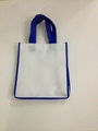 non woven bag  2