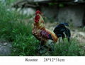 Rooster