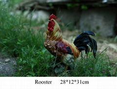 Rooster