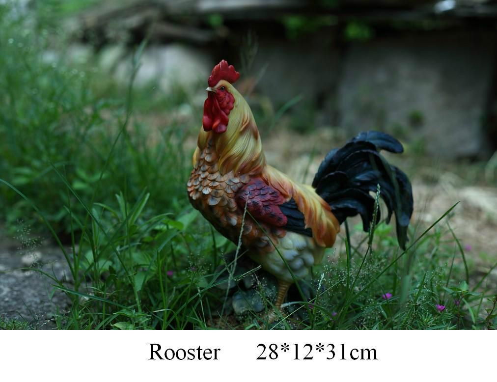 Rooster