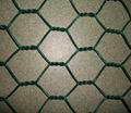 Hexagonal Wire Netting