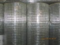 Welded Wire Mesh 2