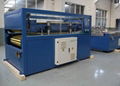 Wood and Plastic Extrusion Line 3