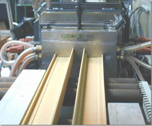 Wood and Plastic Extrusion Line 5