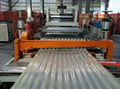 Roof Tile Extrusion Line 4