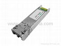 10G SFP + Transceivers