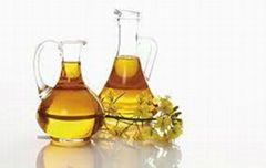 Edible Rapeseed Oil