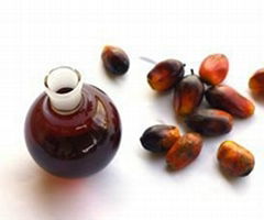 Edible Palm oil