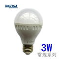 LED Bulb 1