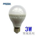 LED Bulb