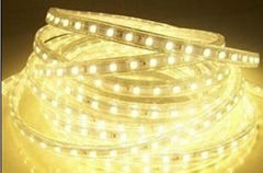 LED Strip Light