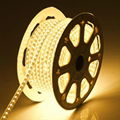 LED Strip Light 1