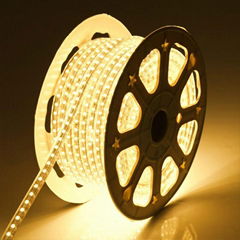 LED Strip Light