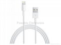 Apple iPhone 5/5C/5S CAB02 Lightning USB