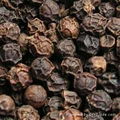 we sale grade a quality black pepper 2