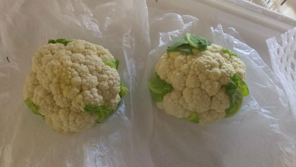 Fresh Cauliflower 2