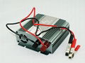 300W Pure Sine Power Inverter  5