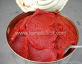 tomato paste 1