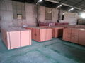 Film faced plywood/plywood from Chinese plywood manufacturer 1