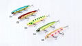 Pencil lure Hard plastic lure 1