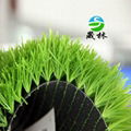 Artificial grass for ornament  2